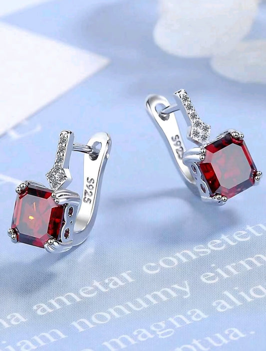Silver earrings with red gemstones on a light blue background